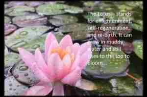 Personal Development For Growth
