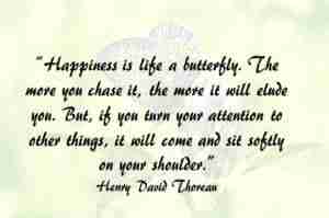 Happiness Like Butterfly 300x199 1