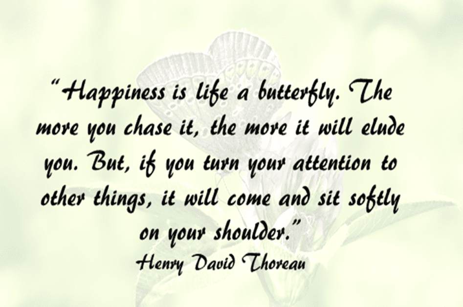 The Secret to Happiness and Success in Today's World: the Pursuit of the Mind & Body