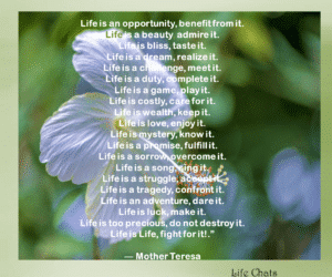 Mother Teresa Quote