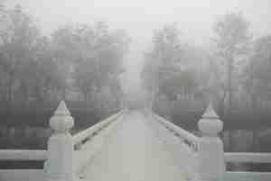 Finding Inner Peace After Loss