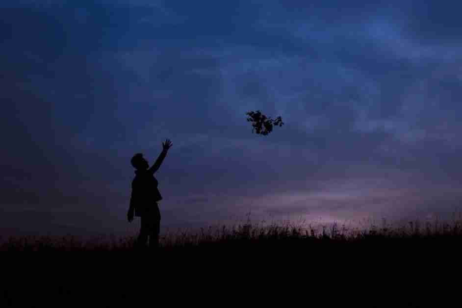 silhouette of man during sunset