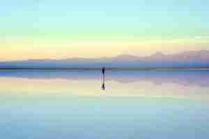 Self-Reflection-Living Consciously