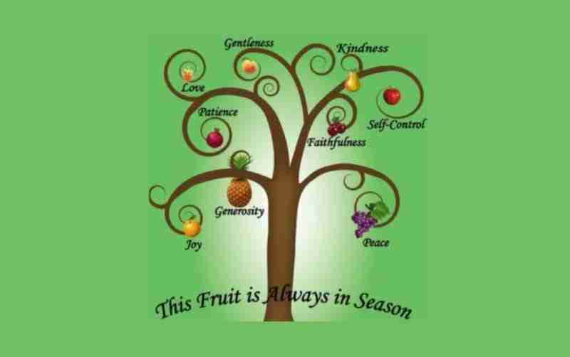 The Fruit of The Spirit