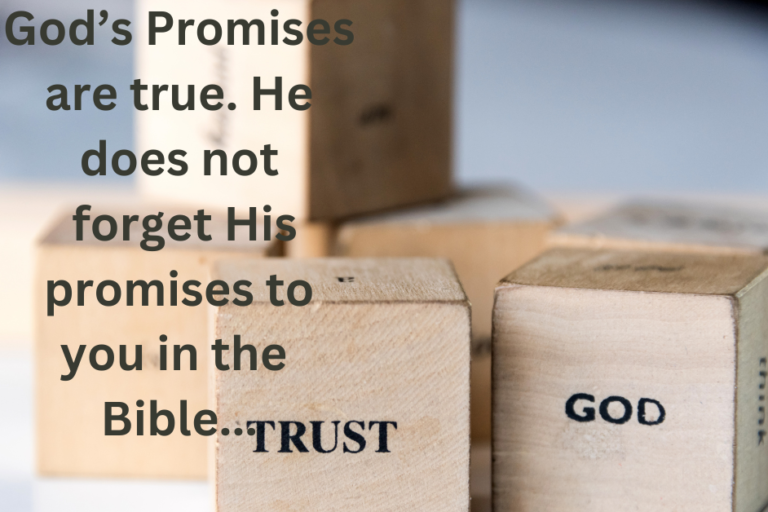 God's Promises-Life-Changing Truth to Help You-a group of wooden cubes with words