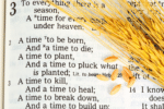 Ecclesiastes 3: 1-8 Everything Has a Season-From The Bible-page with the verse of Ecclesiastes 3:1 the seasoned straw lying on the page