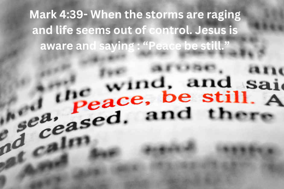 Daily Devotional - Peace Be Still