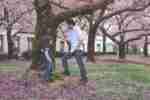 Parenting Father and Son standing at a tree with blooms on the ground