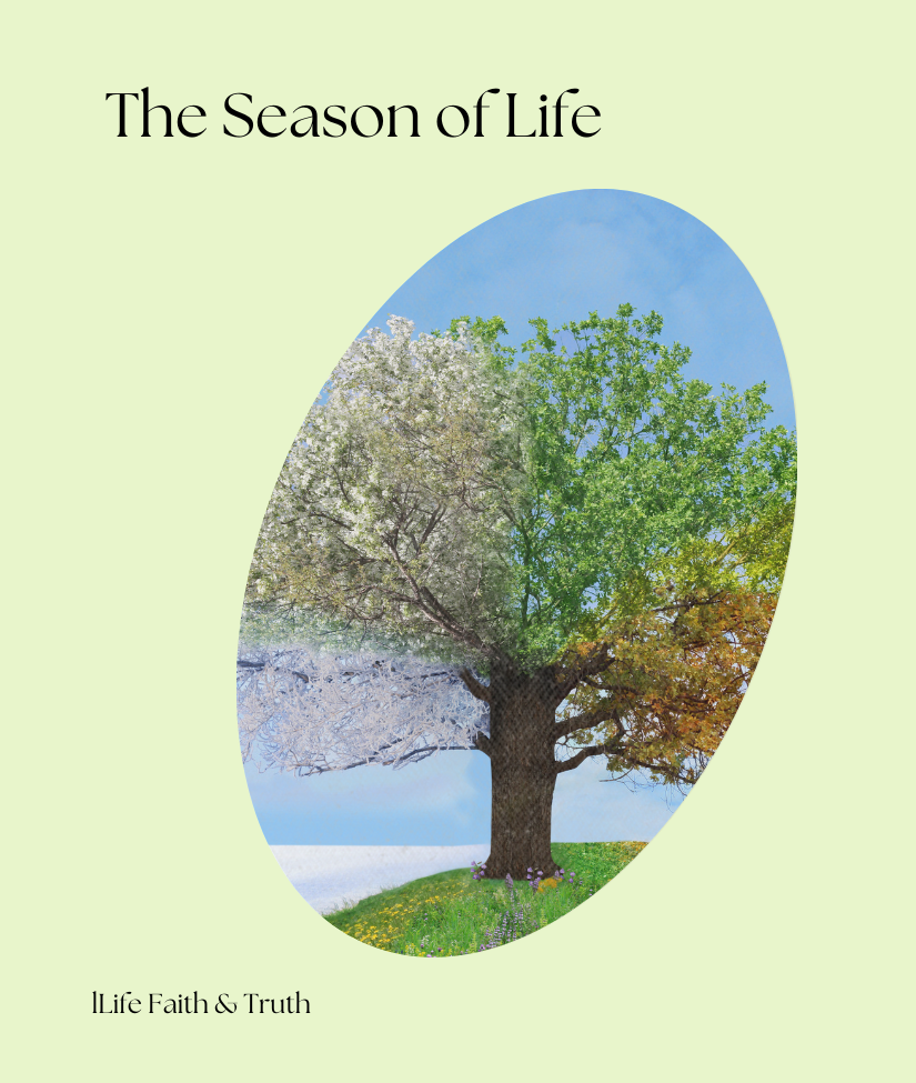 Seasons of Life 