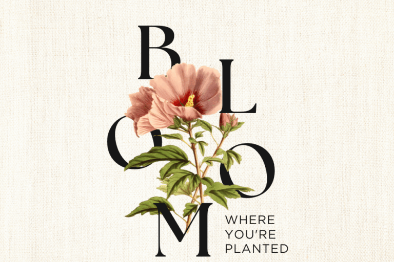 Bloom Where You Are Planted