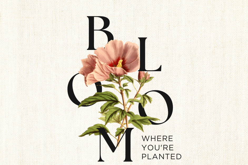 Bloom Where You Are Planted 1 Bloom Where You Are Planted