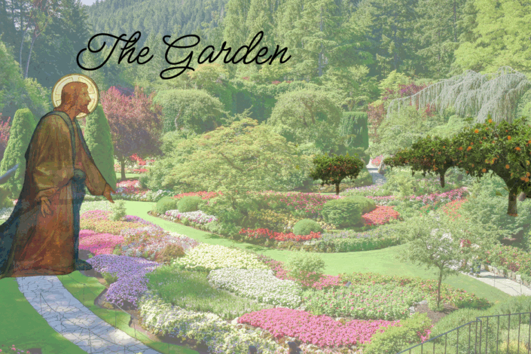 Daily Devotional: The Gardener -God The Father
