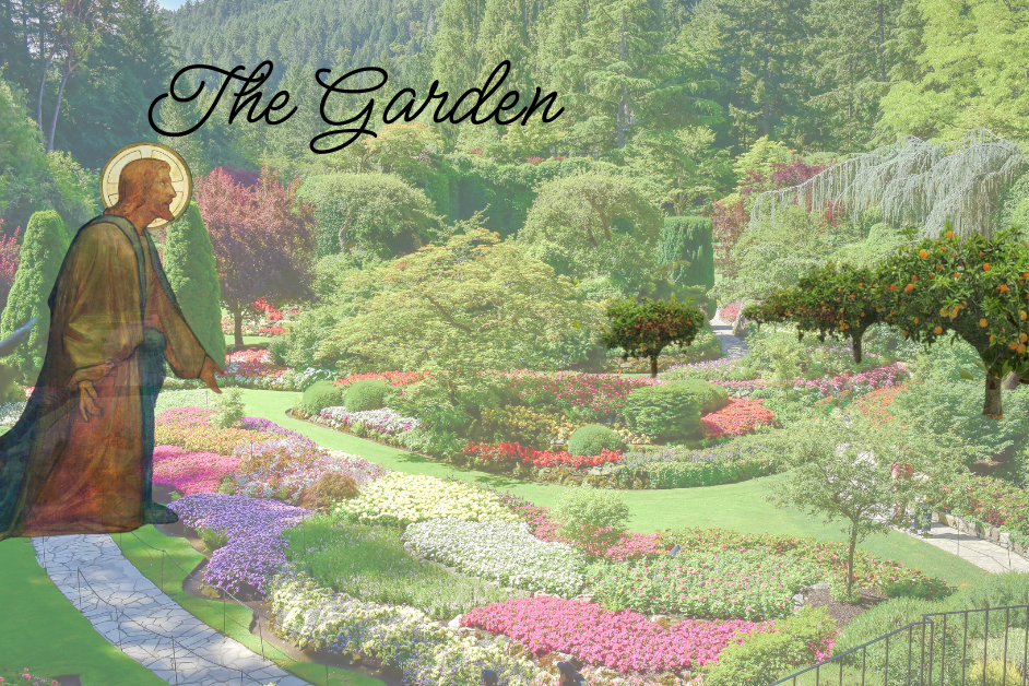 Daily Devotional: The Gardener -God The Father