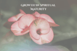 Growing In Spiritual Maturity
