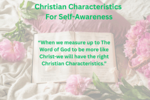 Christian Characteristics For Self-Awareness-flowers around with pillow and a Bible