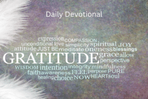 New Year With More Gratitude-More Blessings