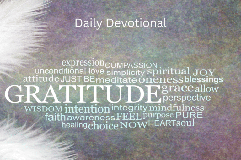 New Year With More Gratitude-More Blessings