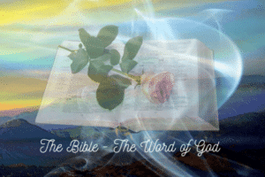 The Way to Heaven From The Word of God