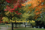Understanding The Seasons of Life
