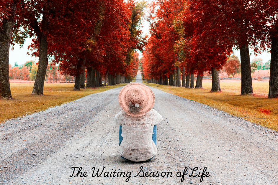 The Waiting Season When Life Feels Still