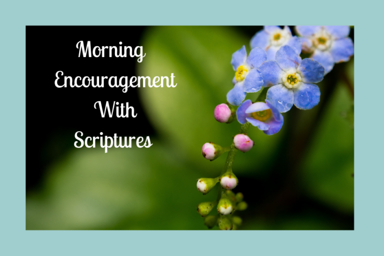 Morning Encouragement With Scriptures- Blue Flowers on a Green background and then a blue background with title to post.