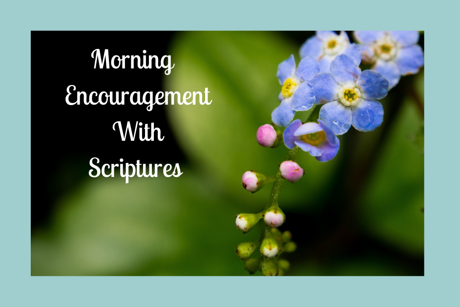 Morning Encouragement With Scriptures- Blue Flowers on a Green background and then a blue background with title to post.