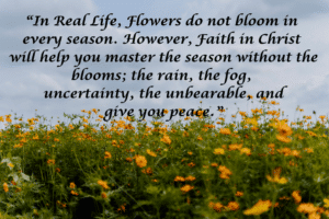 Real Life-The Reality of Life