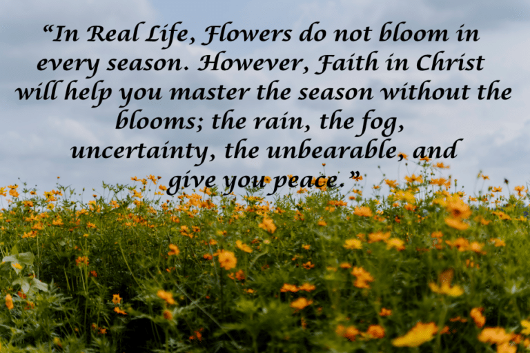 Real Life-The Reality of Life