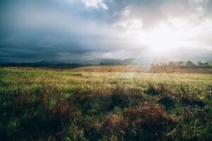 Daily Devotional-Peace in the Midst of Chaos