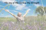 What Does The Bible Say About Joy