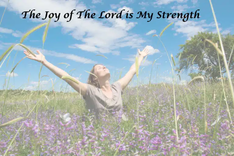 What Does The Bible Say About Joy