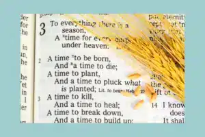 To Everything There is a Season Ecclesiastes