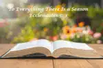 To Everything There is a Season