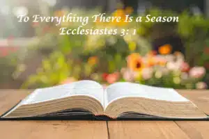 To Everything There is a Season