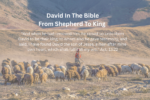 Who Was David In The Bible