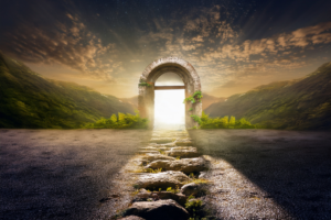 Death Is Not the End of Life