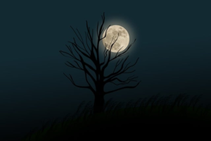 The Moon