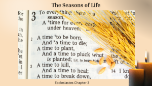 The Seasons of Life
