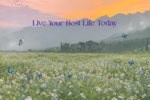 Live Your Best Life Today