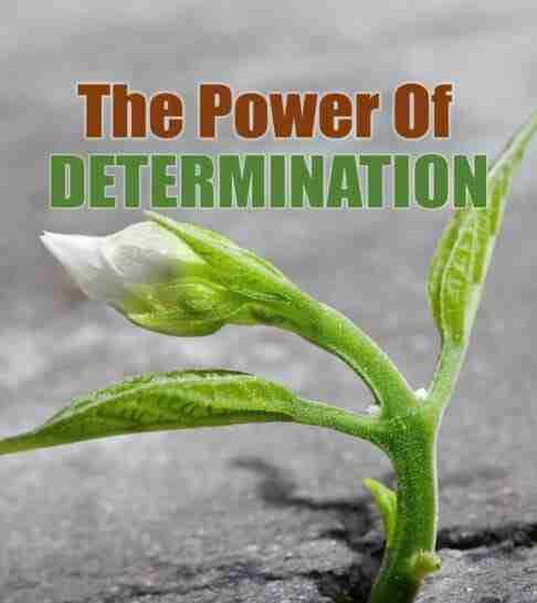 Power of Determination